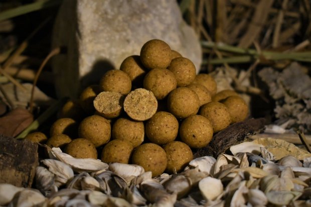 BalatonBaits - Maple Nuts - Prémium Bojli 24mm 1 kg