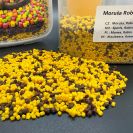 pellet1.jpg