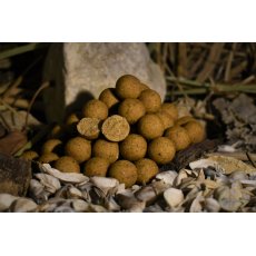 BalatonBaits - Maple Nuts - Prémium Bojli 20mm 1 kg