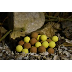 BalatonBaits - Maple - Nuts ( Juhar ) Pop - Up 16mm 30g